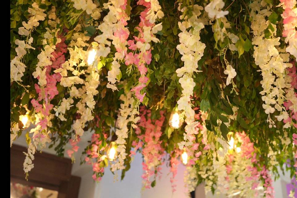 The Camellia Events