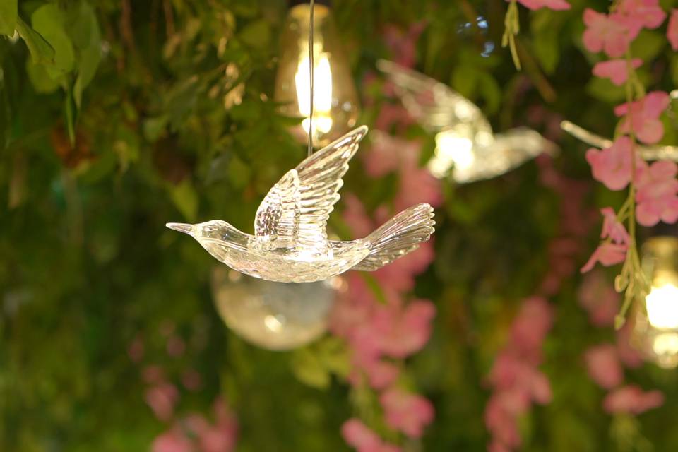 The Camellia Events
