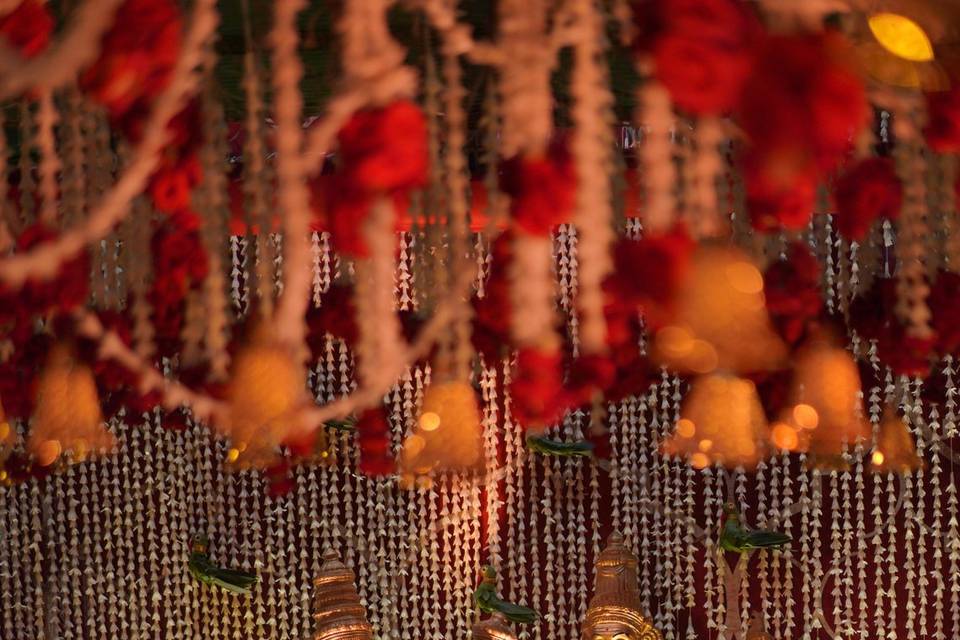 The Camellia Events