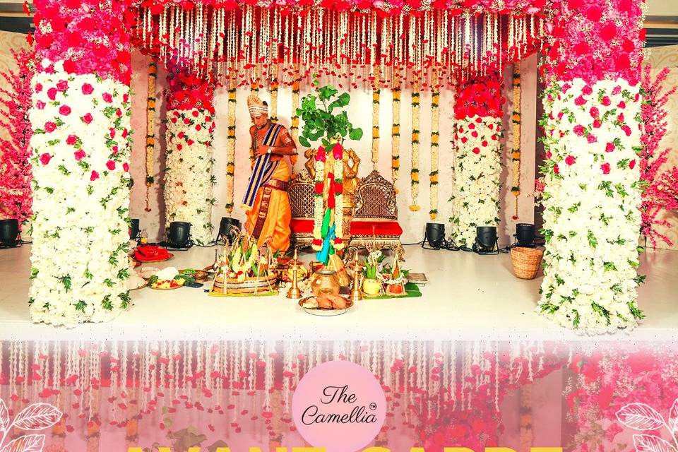 The Camellia Events