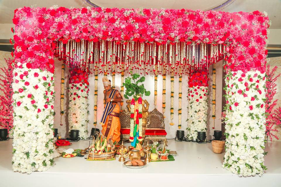 The Camellia Events