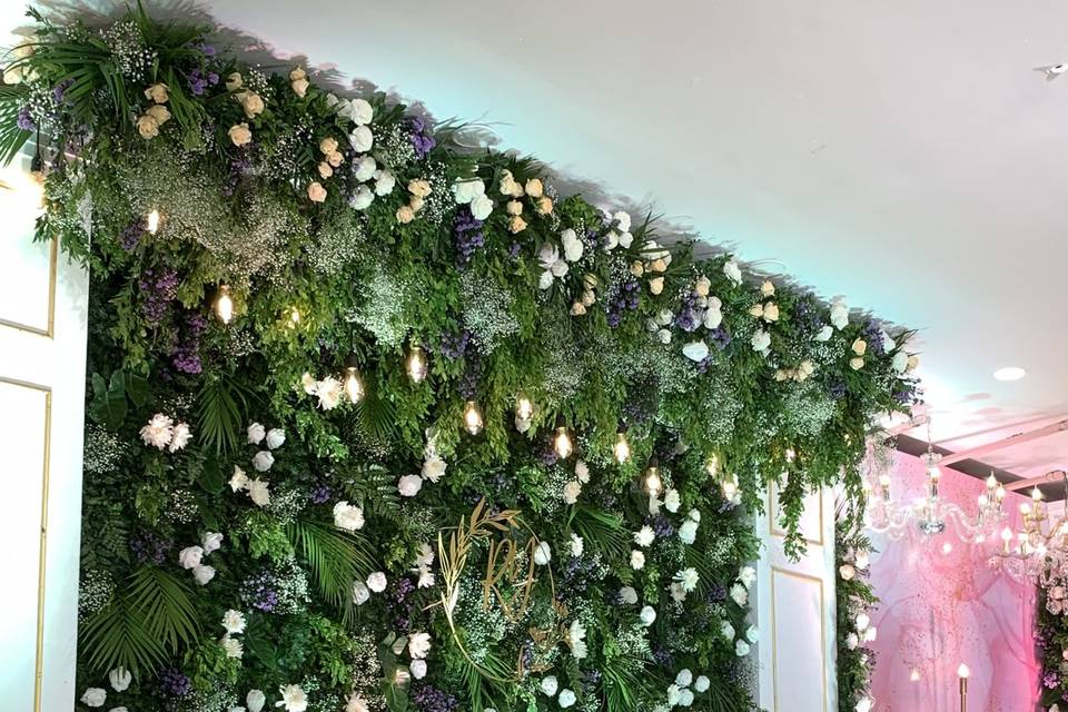 The Camellia Events