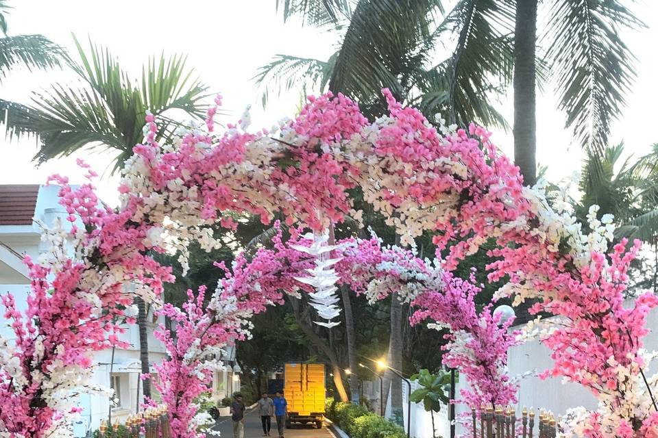 The Camellia Events