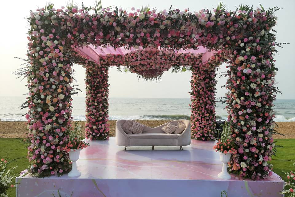 The Camellia Events