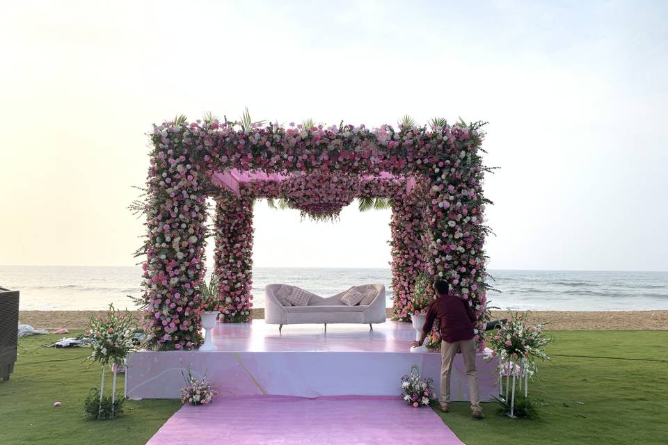 The Camellia Events