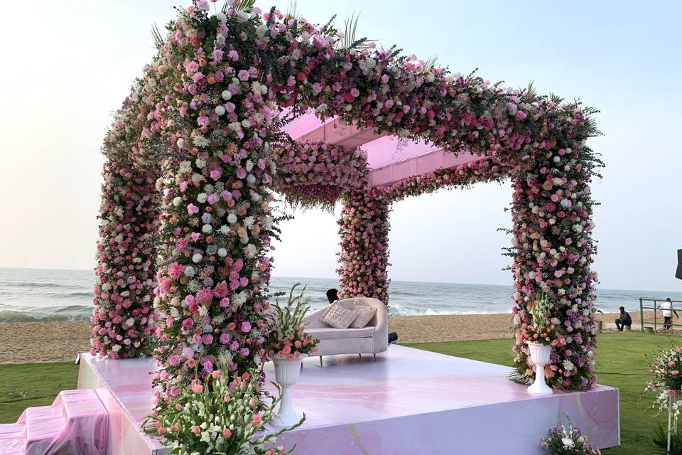 The Camellia Events