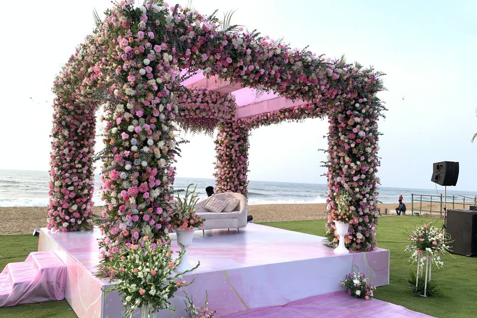 The Camellia Events