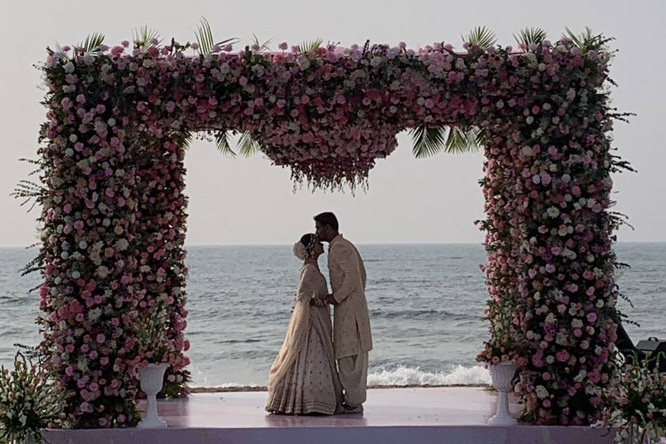 The Camellia Events