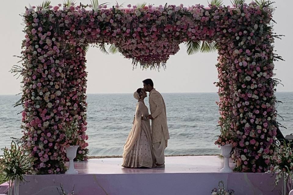 The Camellia Events