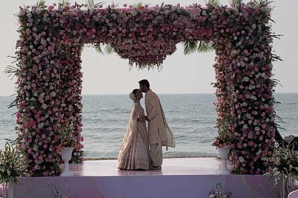 The Camellia Events