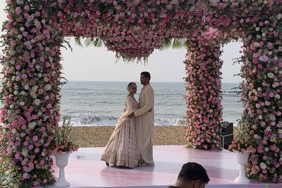 The Camellia Events