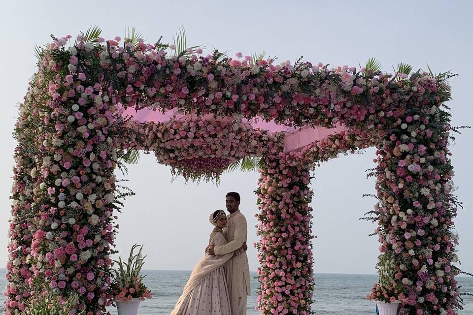 The Camellia Events