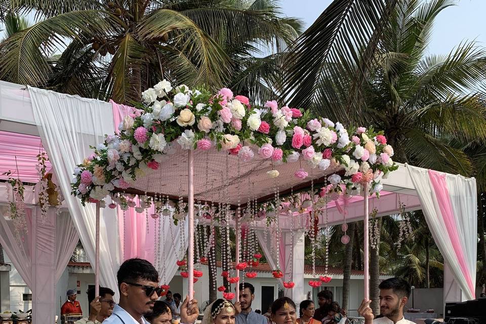 The Camellia Events
