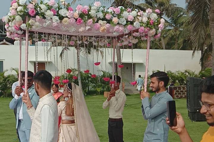 The Camellia Events