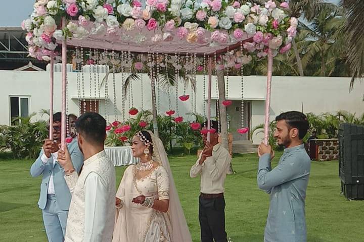 The Camellia Events