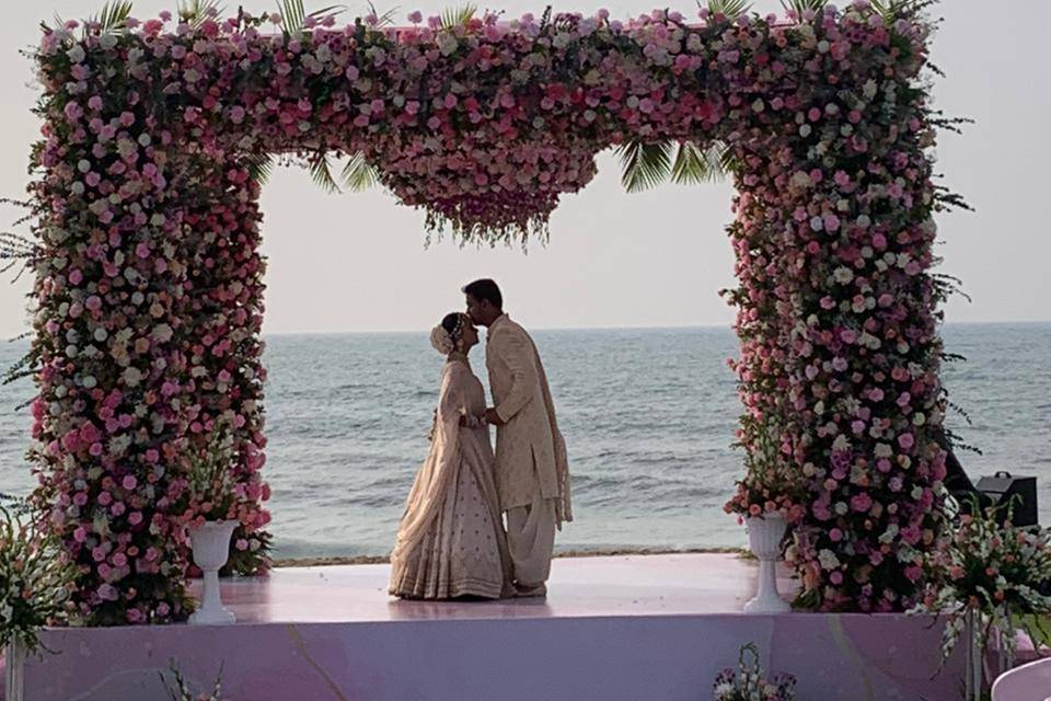 The Camellia Events