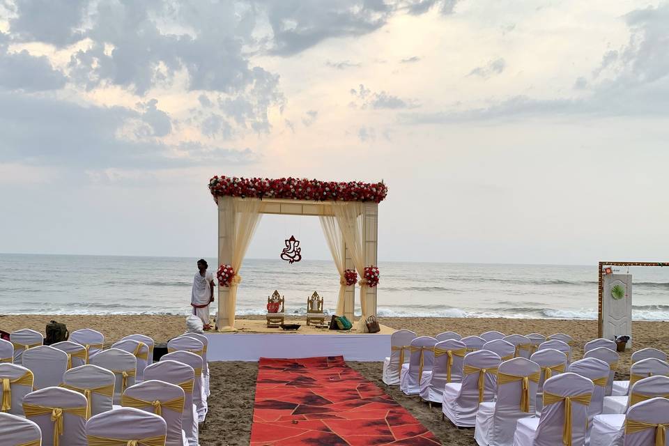 The Camellia Events