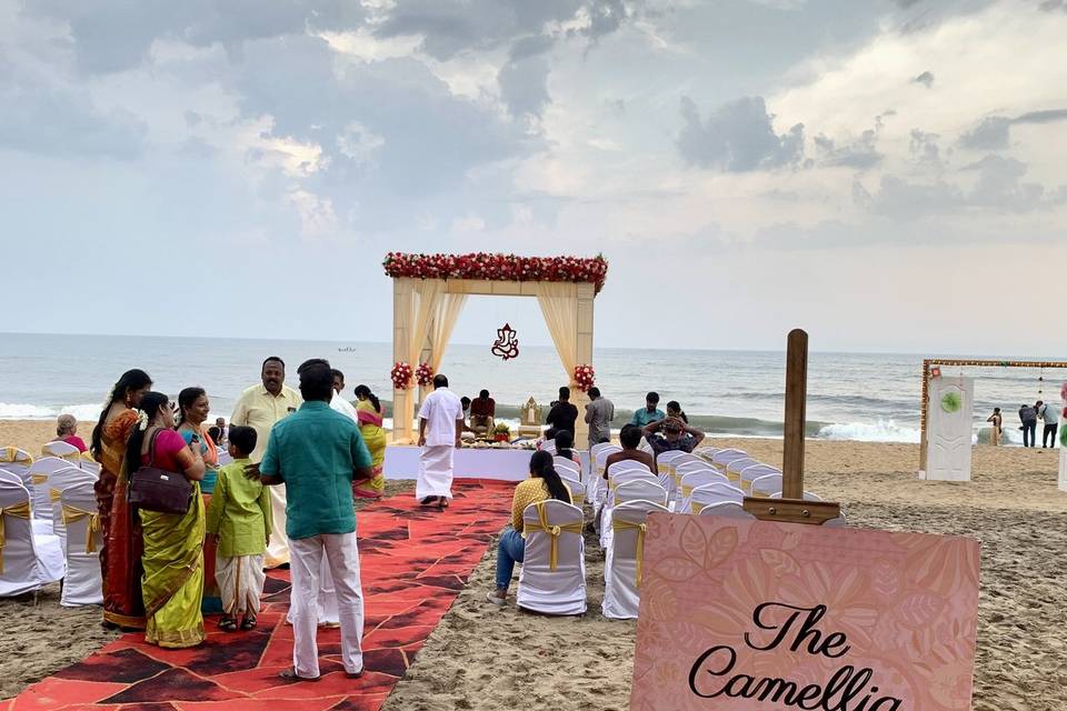 The Camellia Events