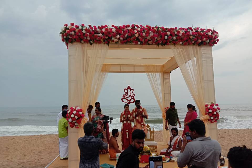 The Camellia Events
