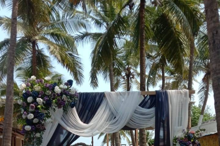 The Camellia Events