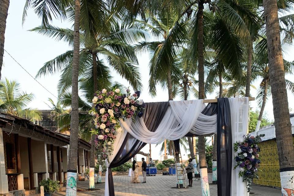 The Camellia Events
