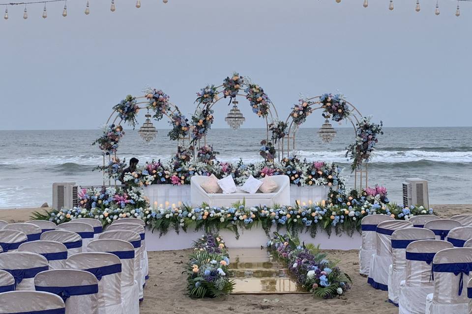 The Camellia Events