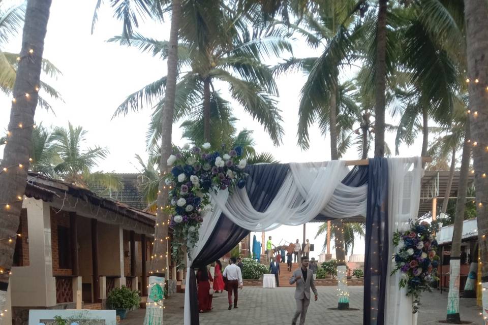 The Camellia Events