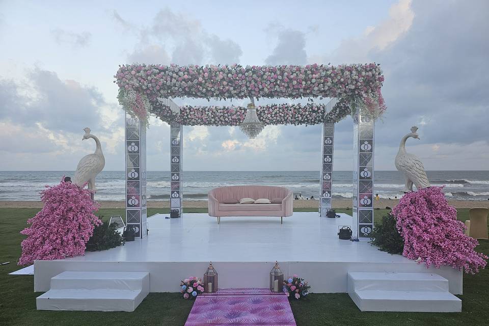 The Camellia Events