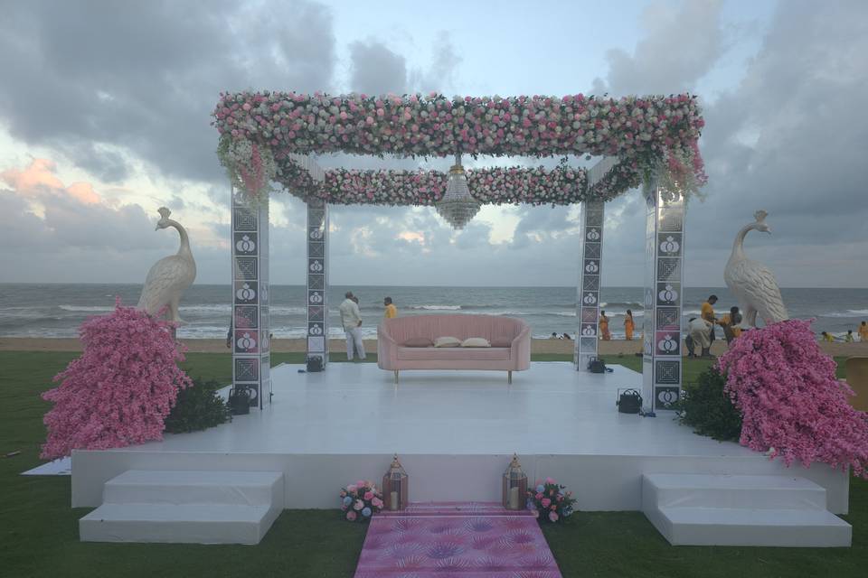 The Camellia Events