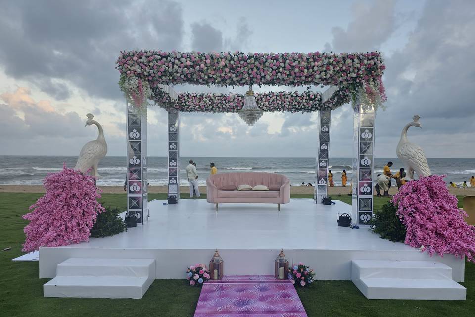 The Camellia Events