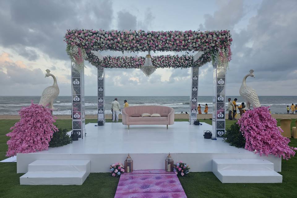 The Camellia Events