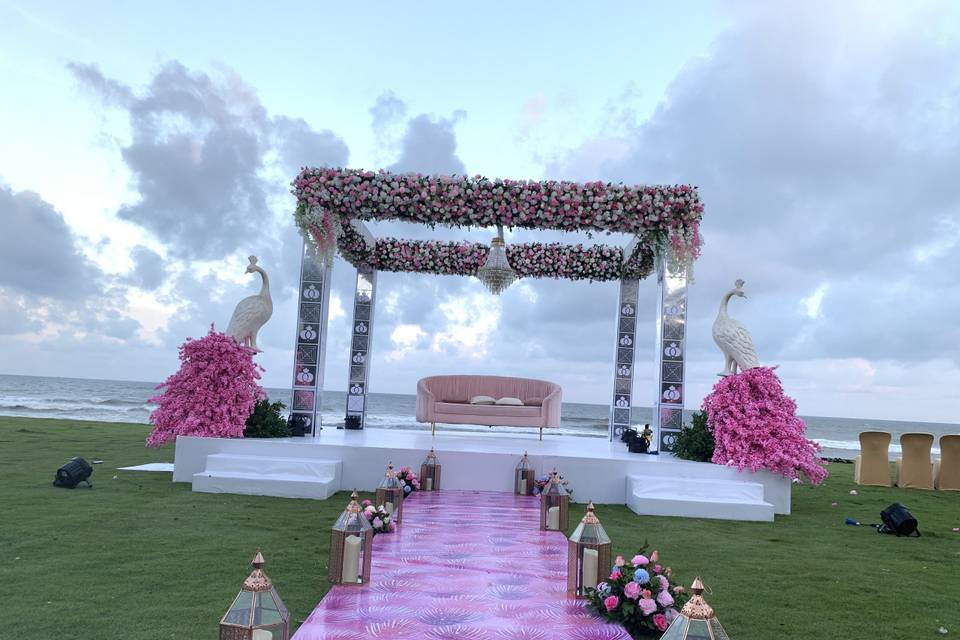 The Camellia Events