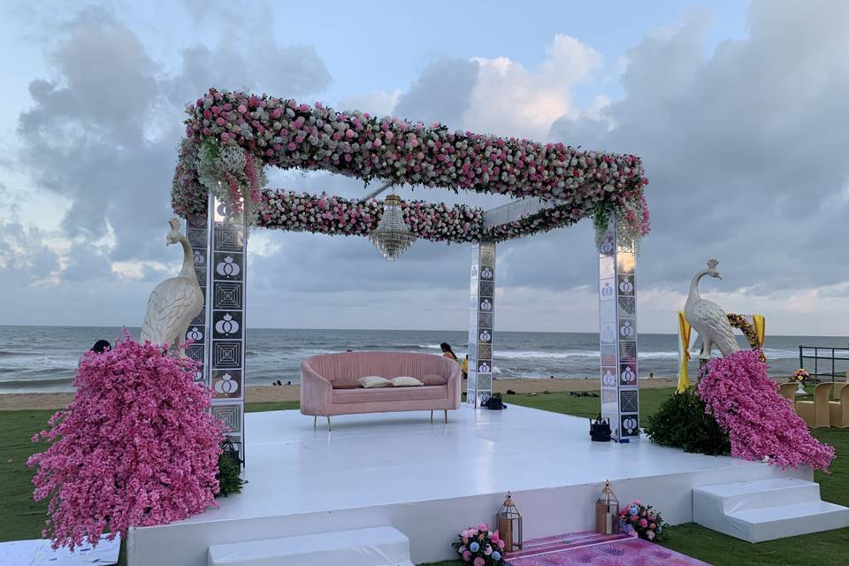 The Camellia Events