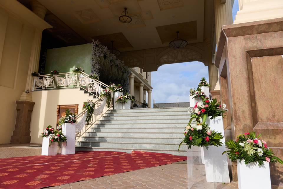 The Camellia Events