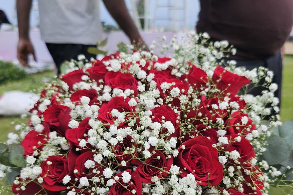 The Camellia Events