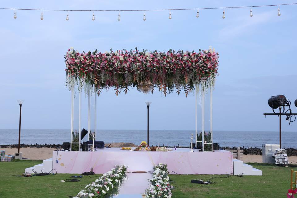The Camellia Events