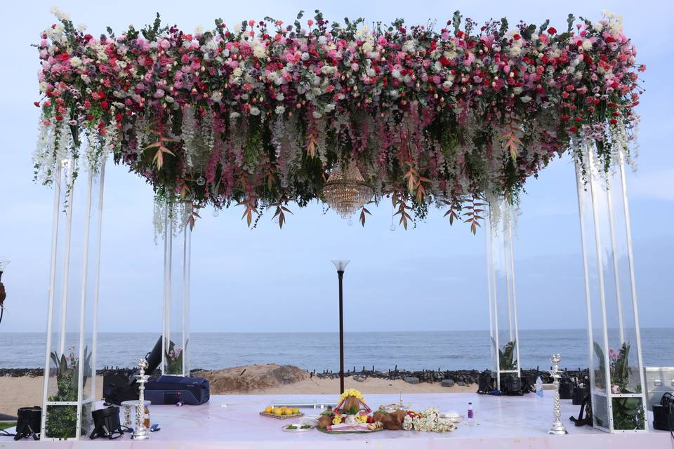 The Camellia Events