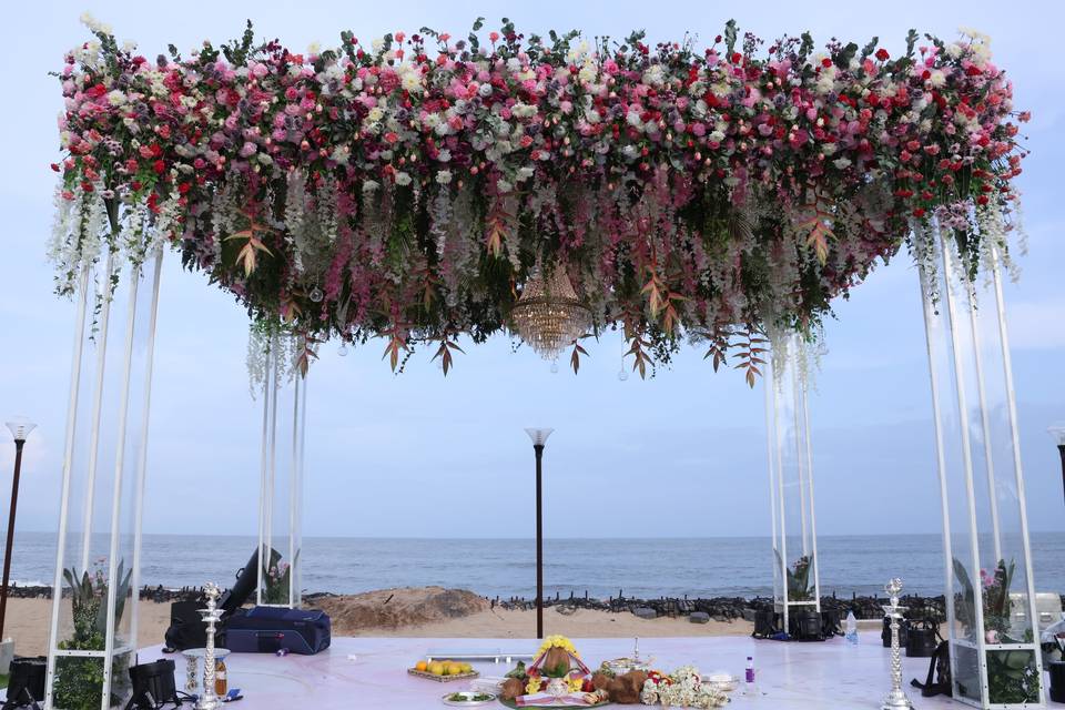The Camellia Events