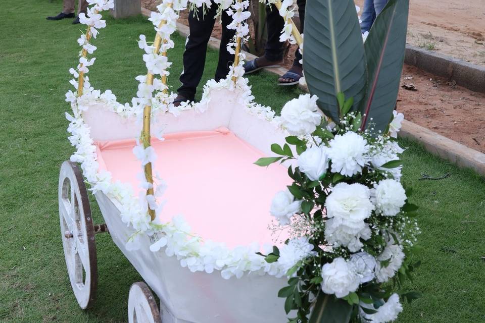 The Camellia Events