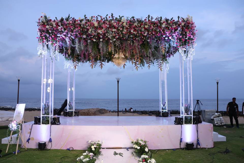 The Camellia Events