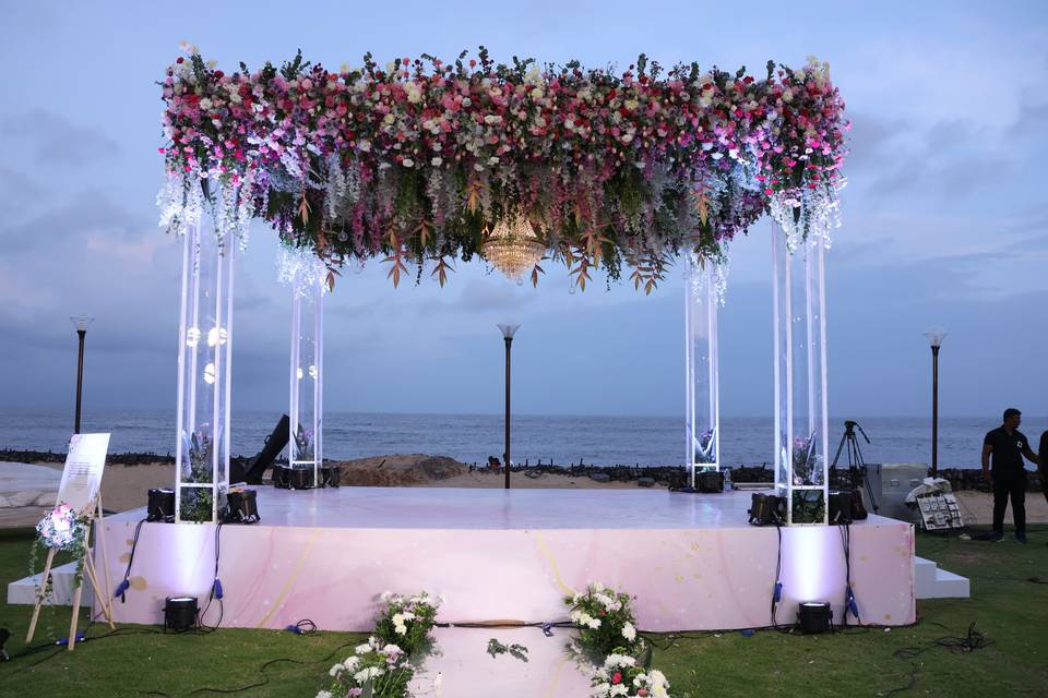 The Camellia Events