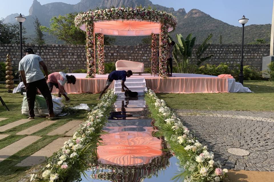 The Camellia Events