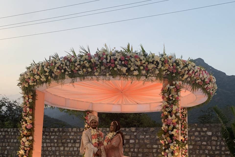 The Camellia Events