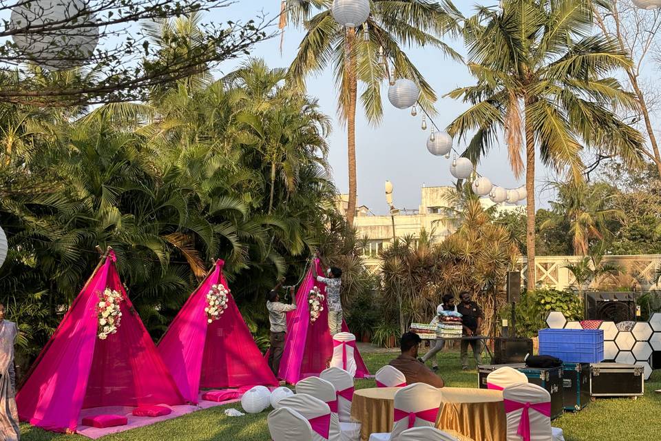 The Camellia Events