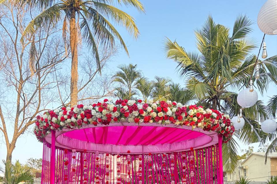 The Camellia Events