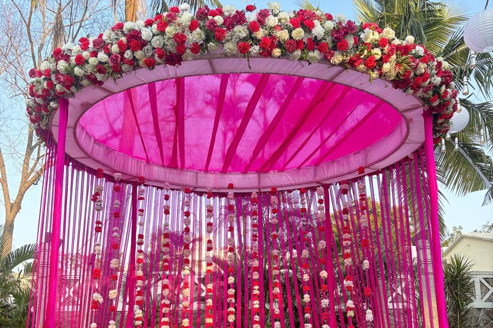 The Camellia Events