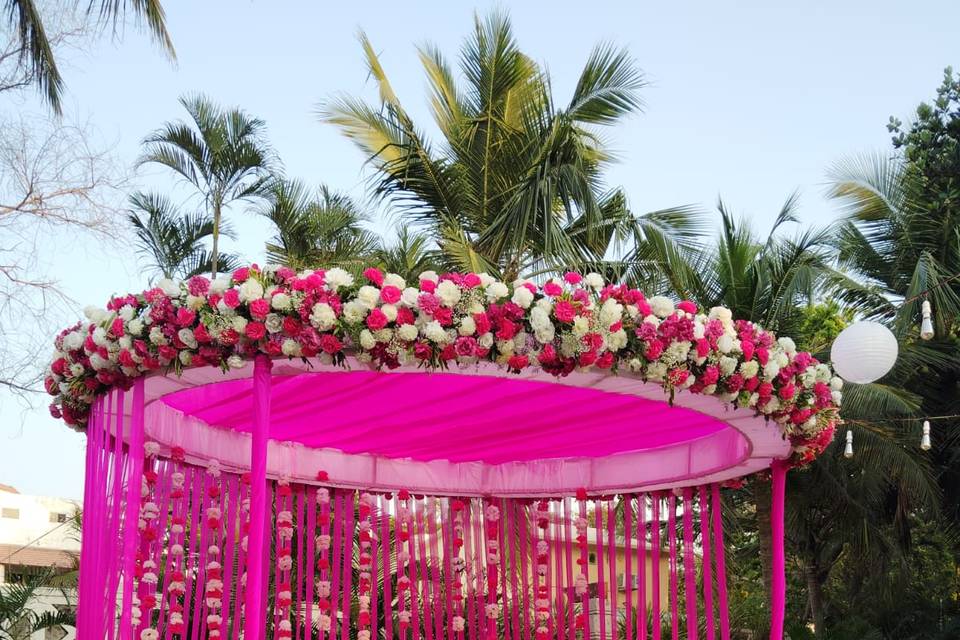 The Camellia Events