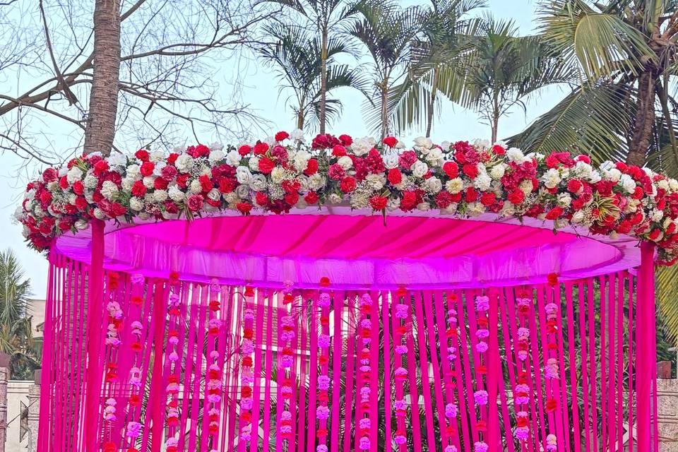The Camellia Events
