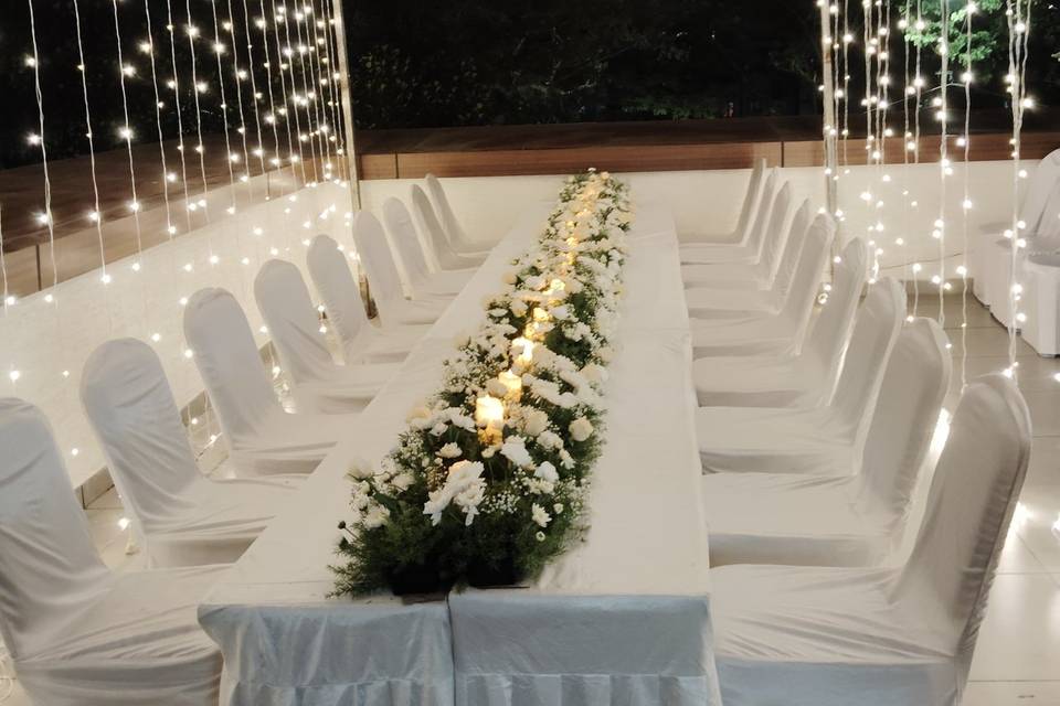 The Camellia Events