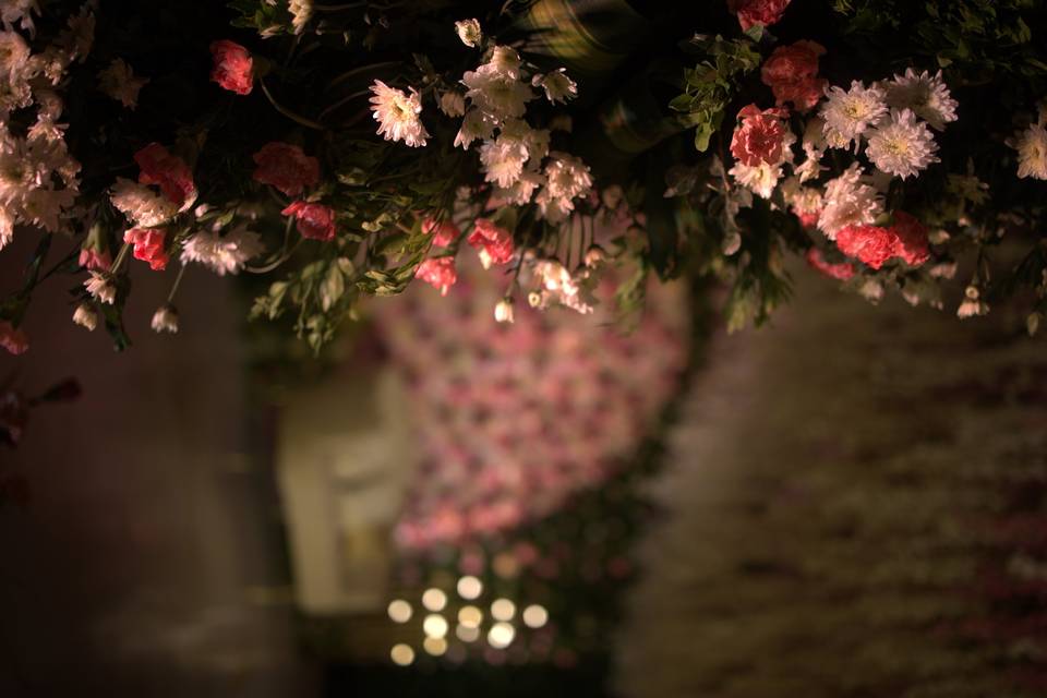 The Camellia Events